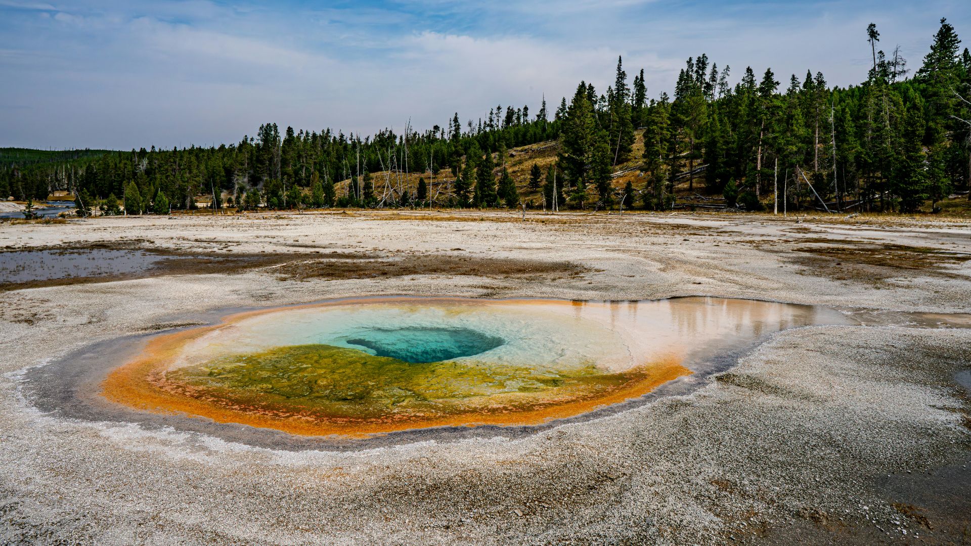 a large pool of water surrounded by trees