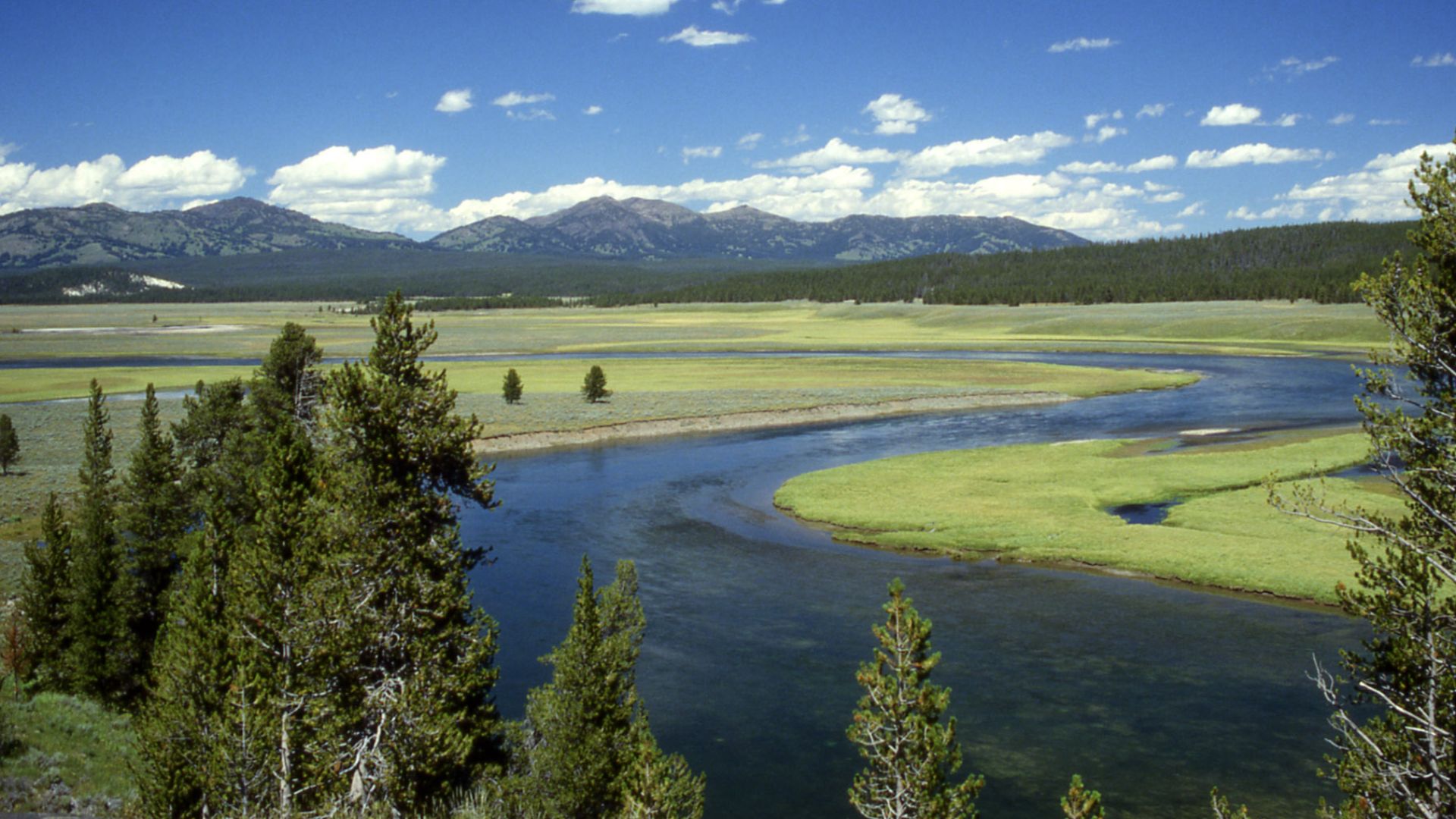 Yellowstone River in Hayden Valley.  Yellowstone National Park, Wyoming, USA.