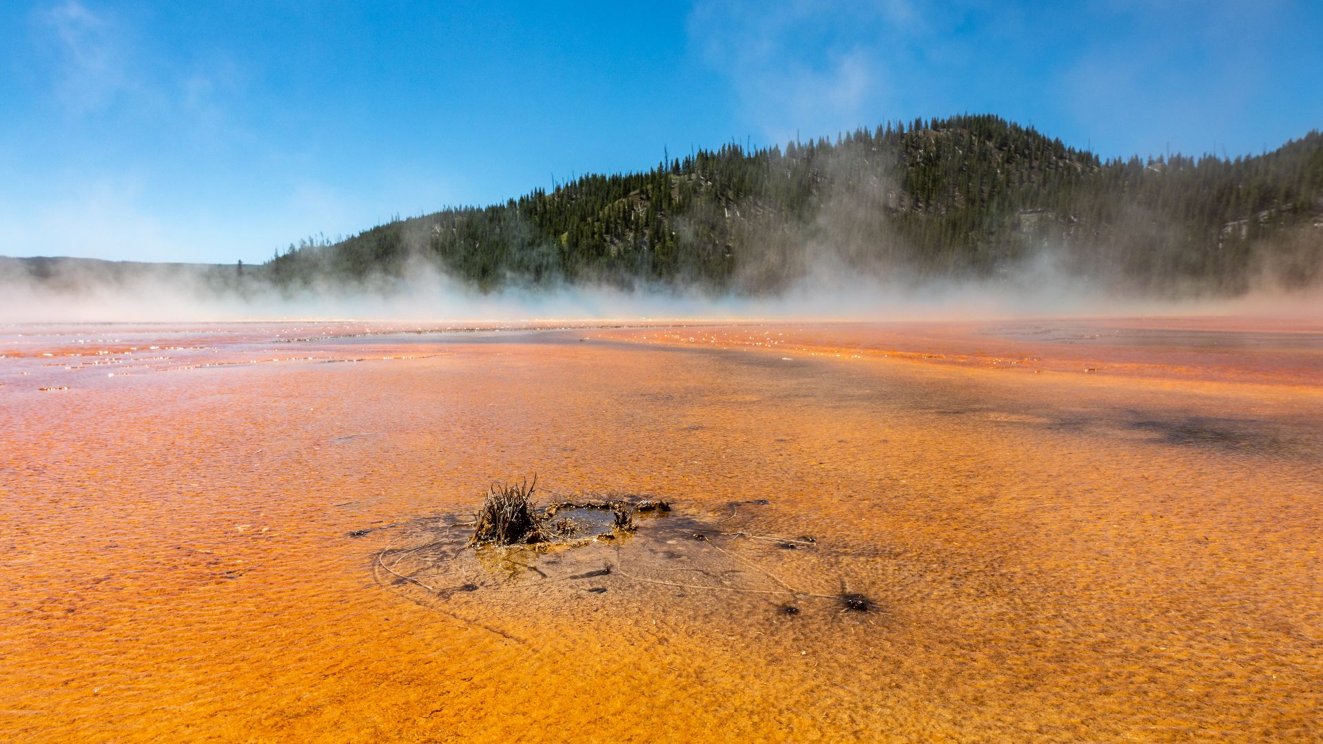 Grand Prismatic Spring, Yellowstone National Park, Wyoming, USAYellowstone National Park was founded on March 1, 1872, and is considered the world’s first national park. It is located primarily in the state of Wyoming, but also extends into Montana and Id