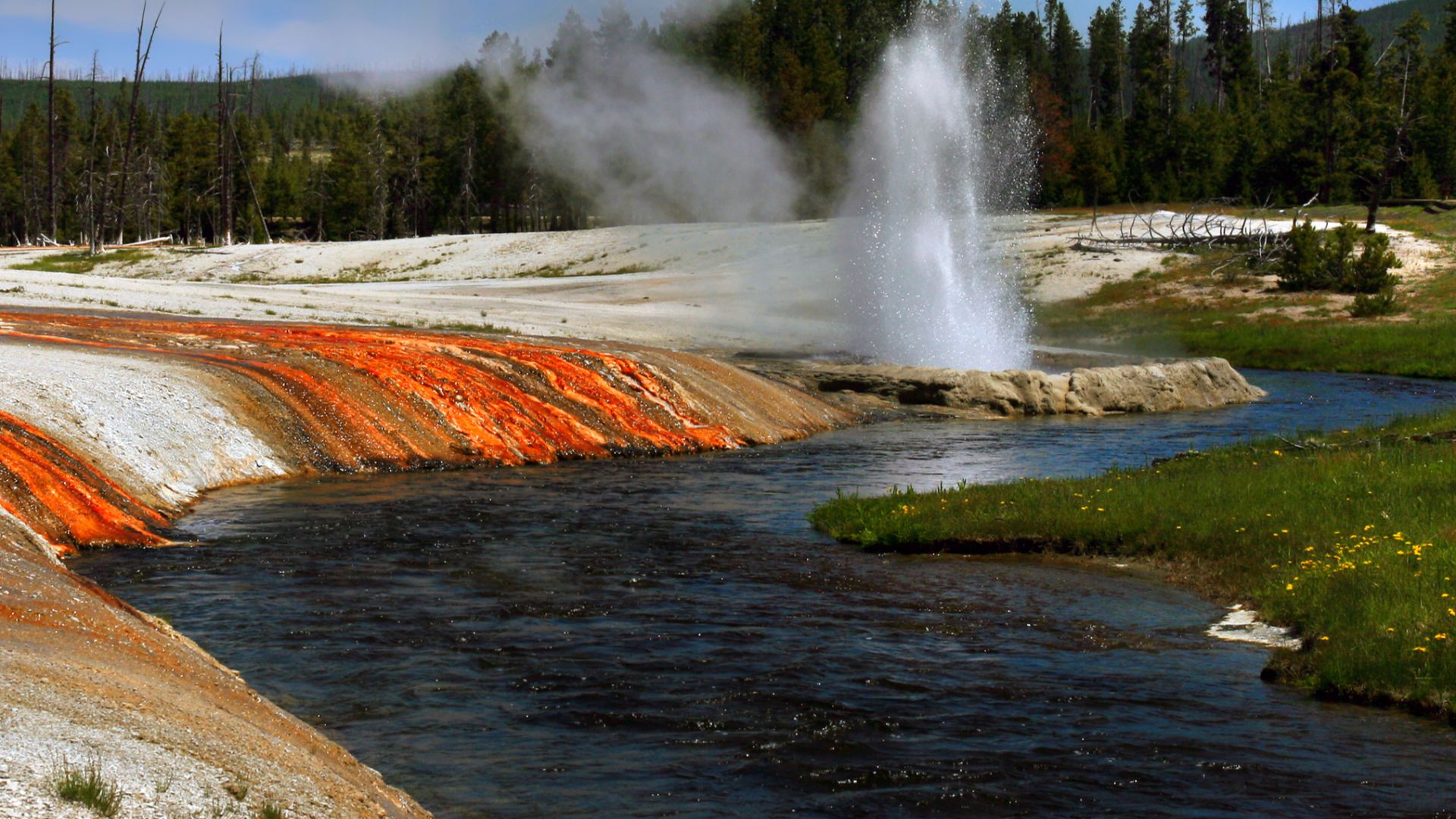 Cliff geyser and Iron Spring Creek at  Black Sand Basin in Upper Geyser Basin in Yellowstone National Park