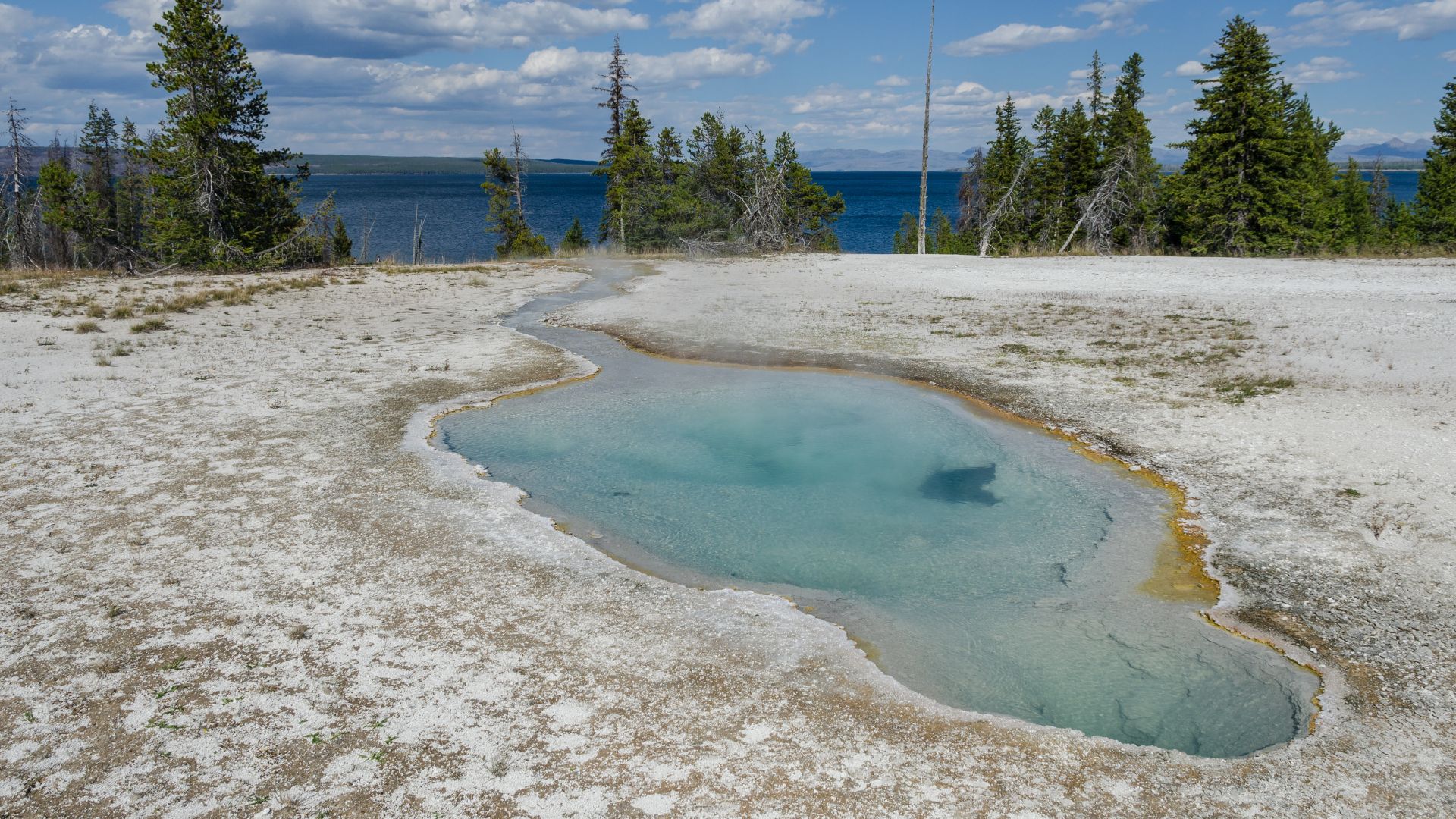 Perforated Pool, Yellowstone National Park. Yellowstone Lake is visible in the background