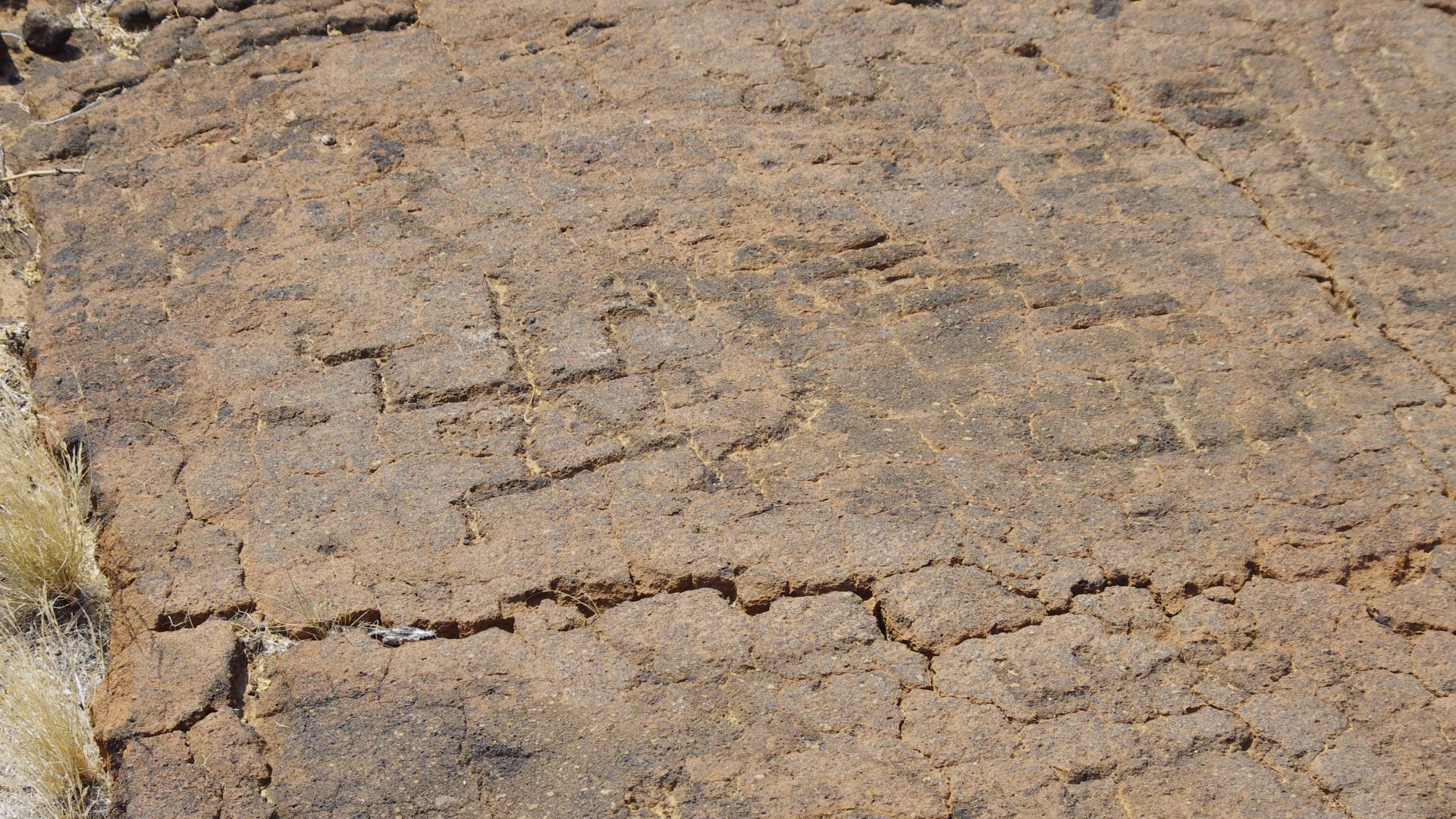 Petroglyphs at Puako, Hawaii