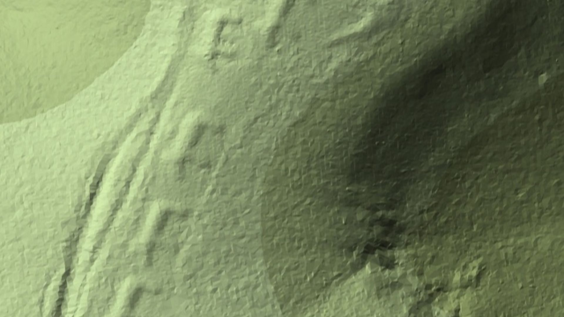 Lidar image of Marching Bears Mound Group, Effigy Mounds National Monument
