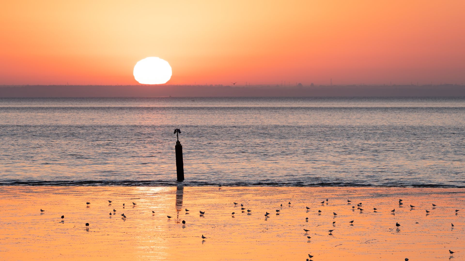 Maritime beacon and a flock of birds on the silt at sunrise, Parque Tejo, Lisbon, Portugal