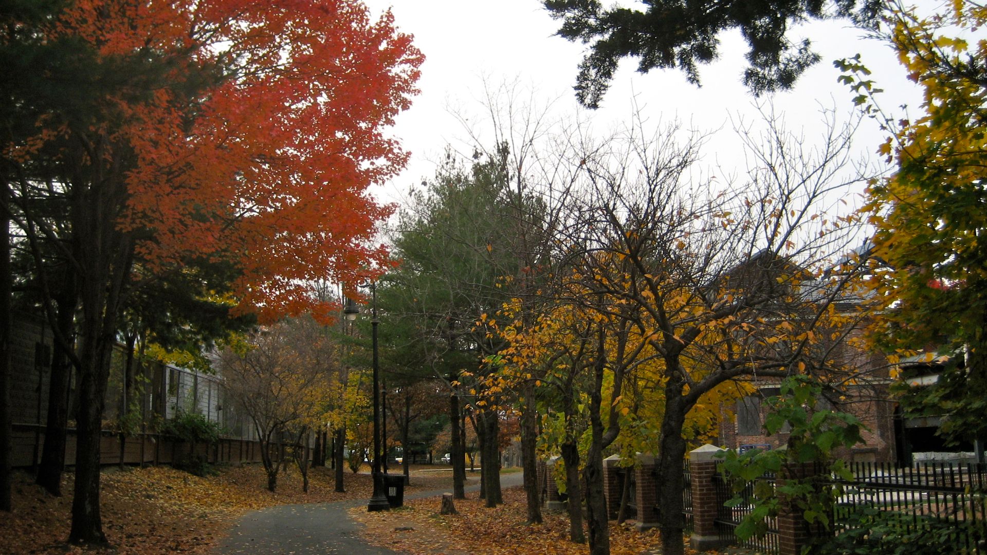 in Cambridge, MA.