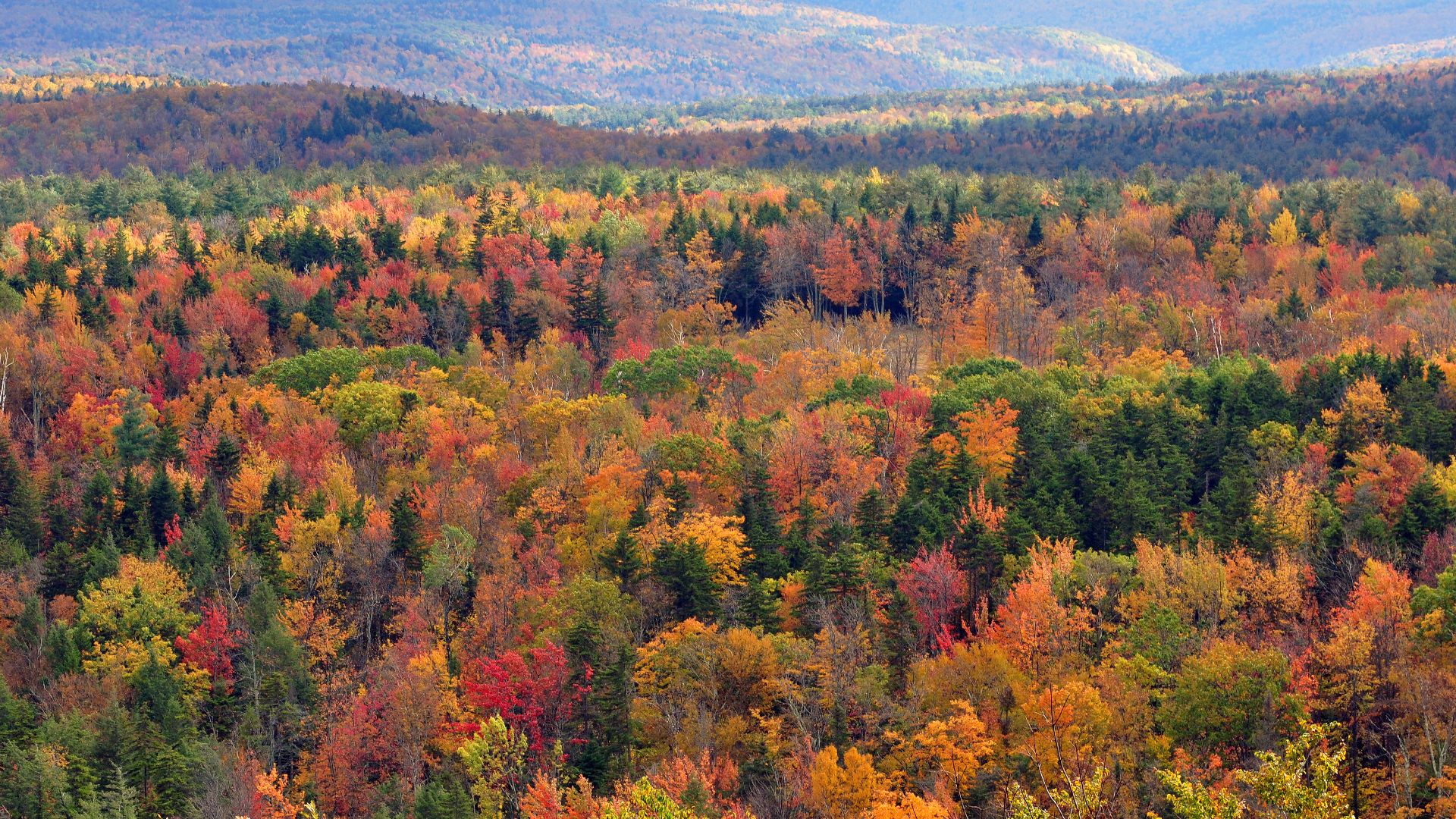 Fall foliage autumn leaf colour Vermont Hogback Mountain one hundred mile lookout