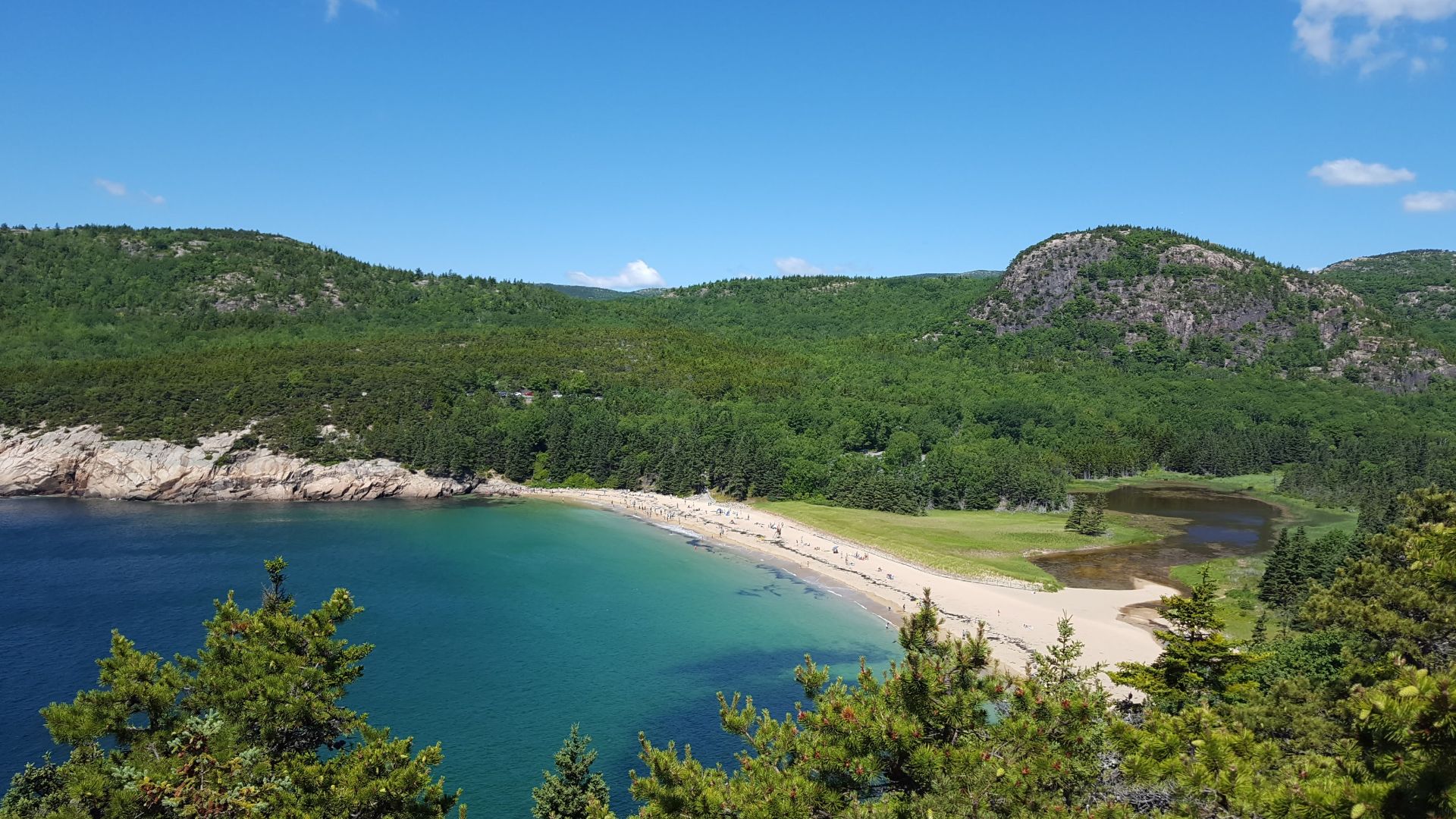 The colors of Acadia in the Summer