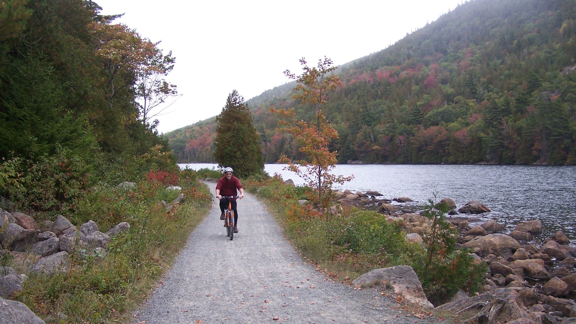 Scope and content:  The original finding aid described this photograph as:
Original Caption: Though originally designed for carriages, these roads allow for pleasant afternoon rides like this one.
Location: Acadia National Park, Maine (44.333° N 68.261° W