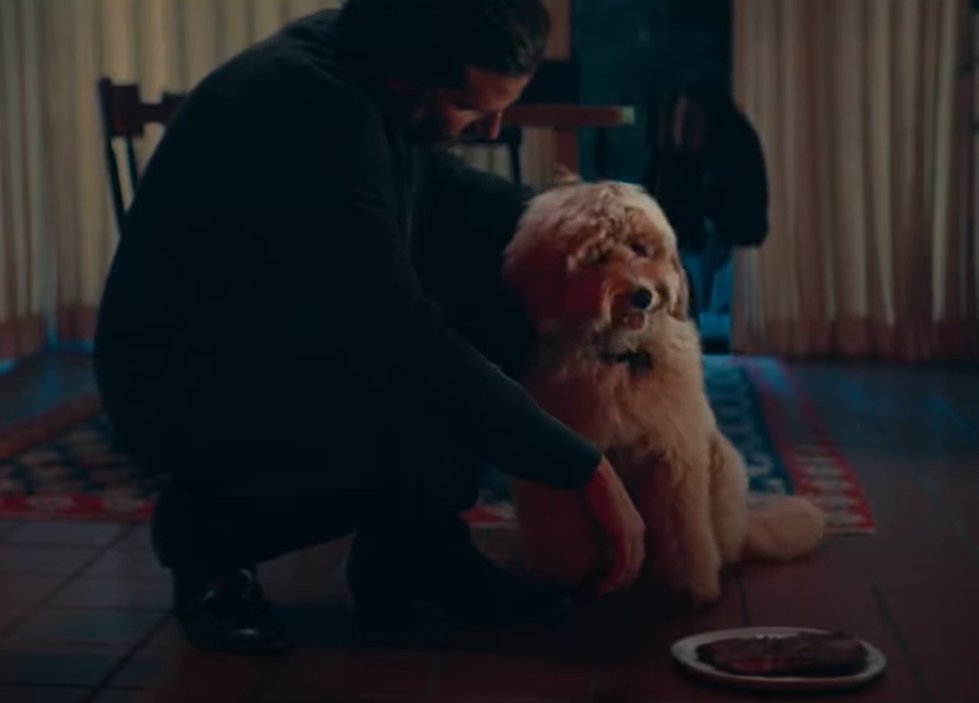 Screenshot from the movie A Star Is Born (2018)