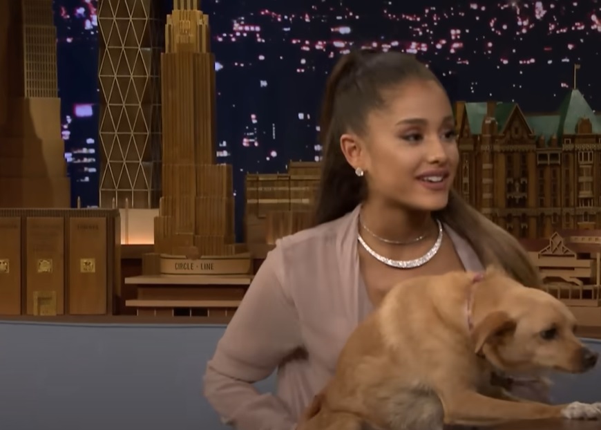 Screenshot from the American late-night talk show The Tonight Show Starring Jimmy Fallon (2014-)