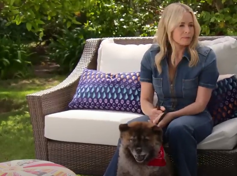 Screenshot from the American late-night political satire talk show Jimmy Kimmel Live! (2003-)