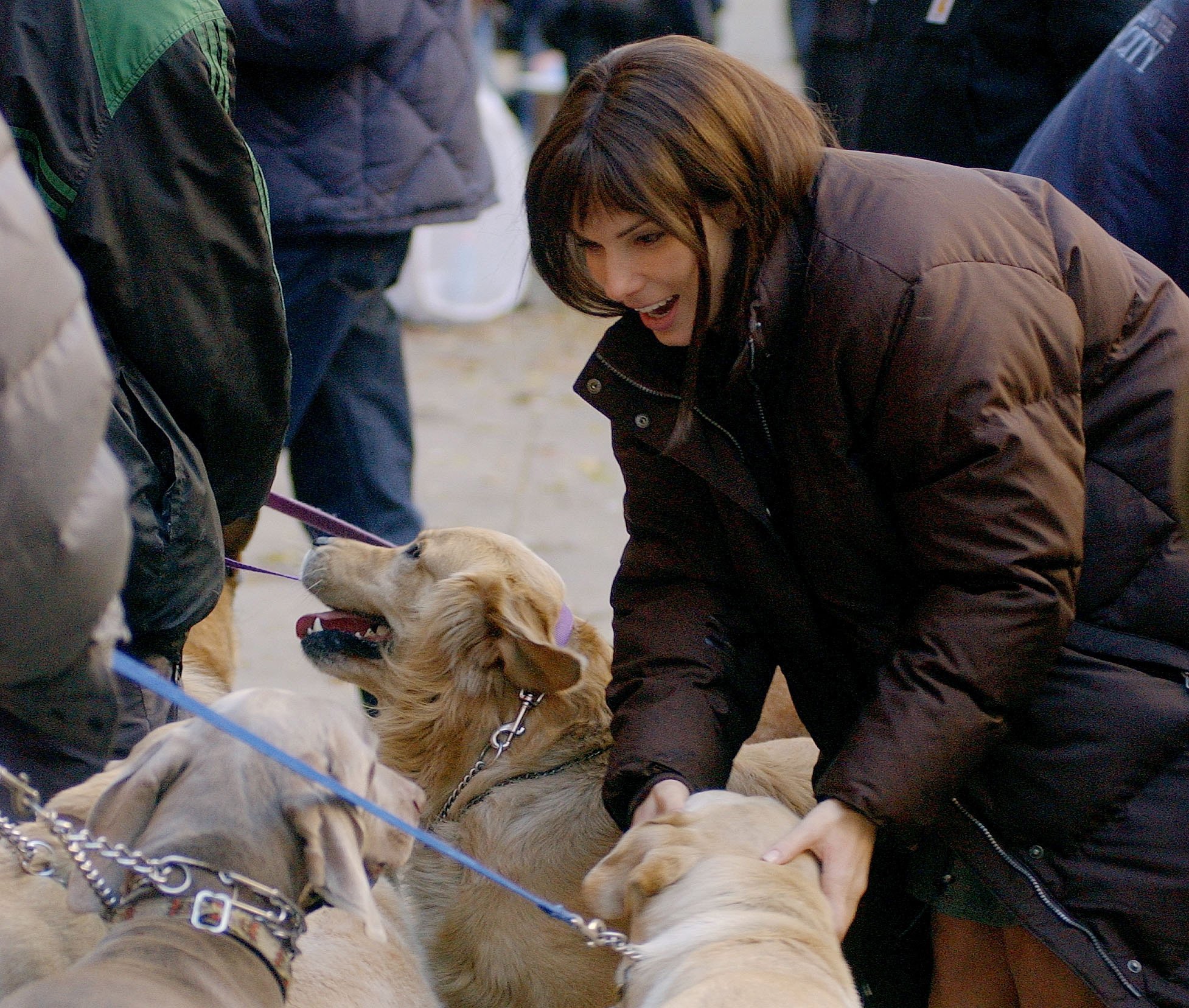 Actress Sandra Bullock takes time to pet some passing dogs