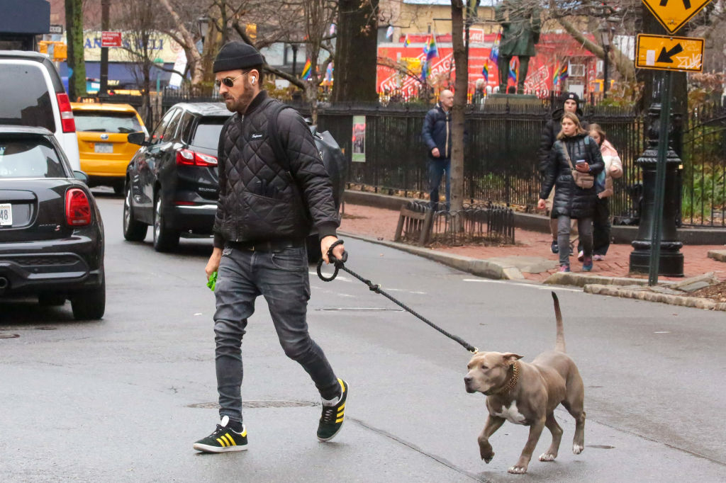 Justin Theroux and his dog is seen in New York City