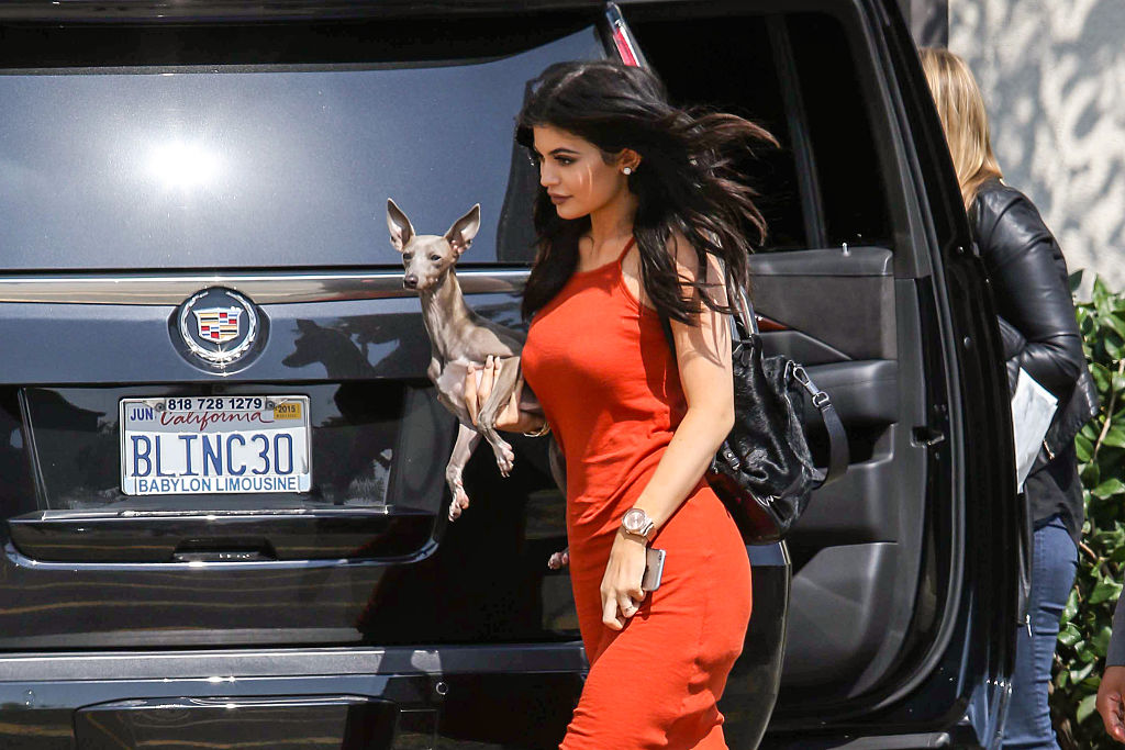Kylie Jenner promotes TopShop at the Grove with her dog Norman