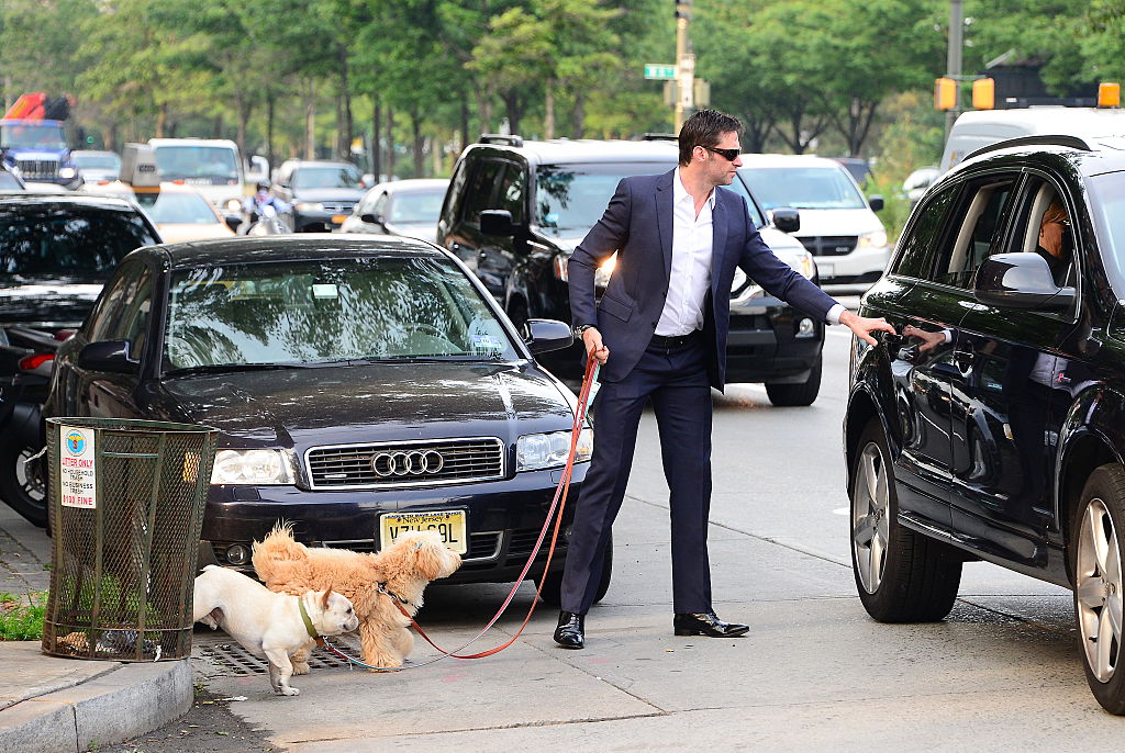 Hugh Jackman walking is dogs Dali and Allegra