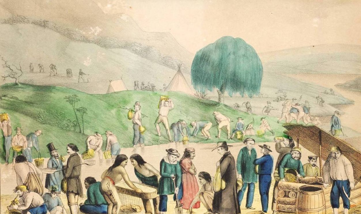 California Gold Diggers