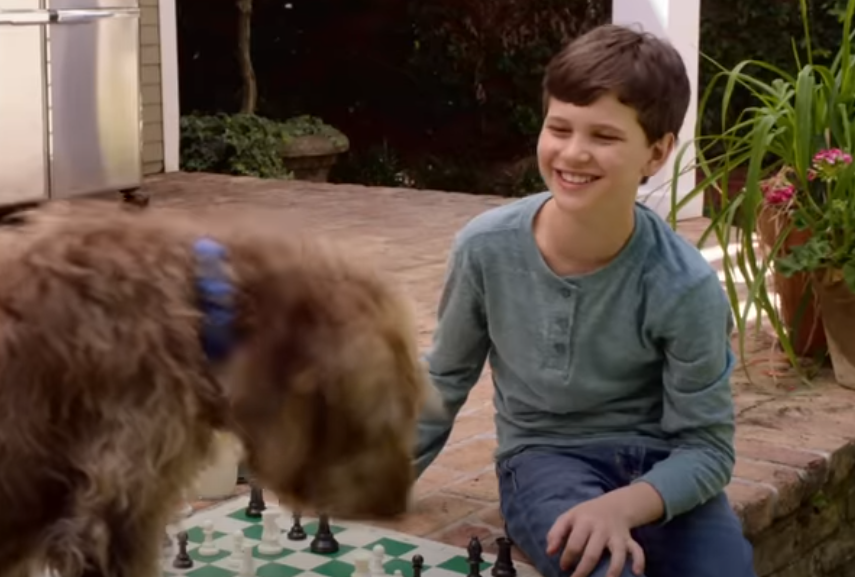 Screenshot of the movie Think Like a Dog