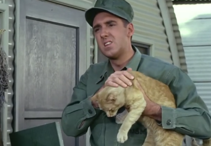 Screenshot from the TV series Gomer Pyle: USMC (1964-1969)
