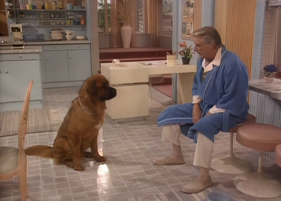 Screenshot from the TV series Empty Nest (1988-1995)
