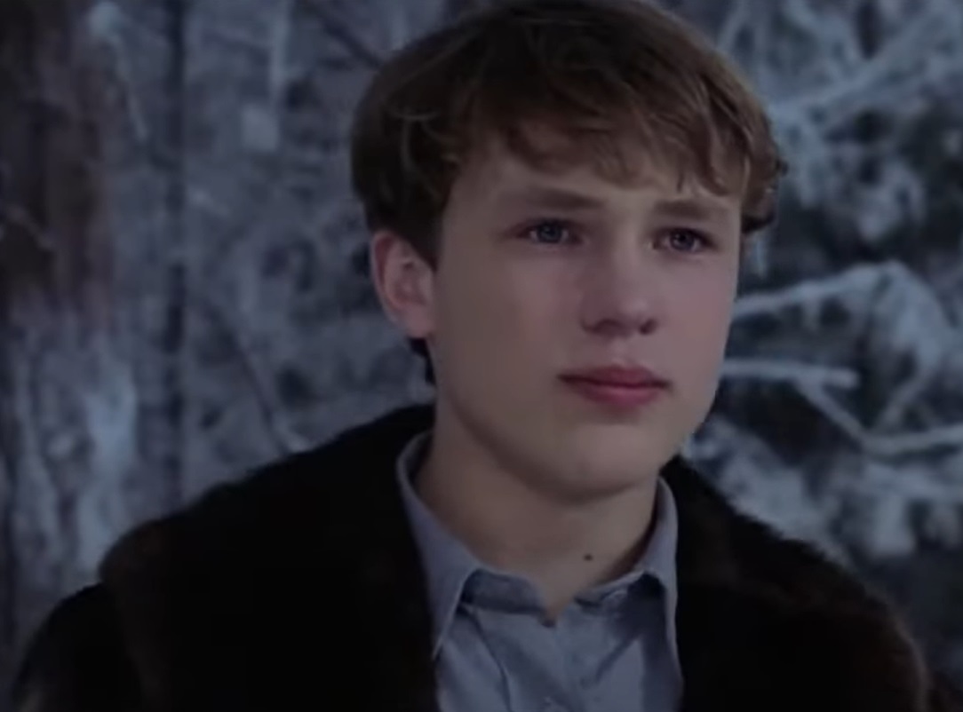 Screenshot from the film The Chronicles of Narnia: The Lion, the Witch and the Wardrobe (2005)