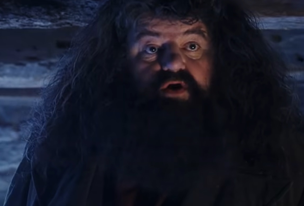 Screenshot from the film Harry Potter and the Philosopher's Stone (2001)