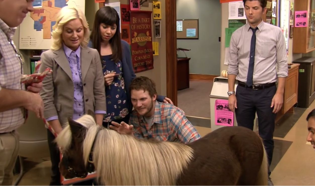Parks And Recreation