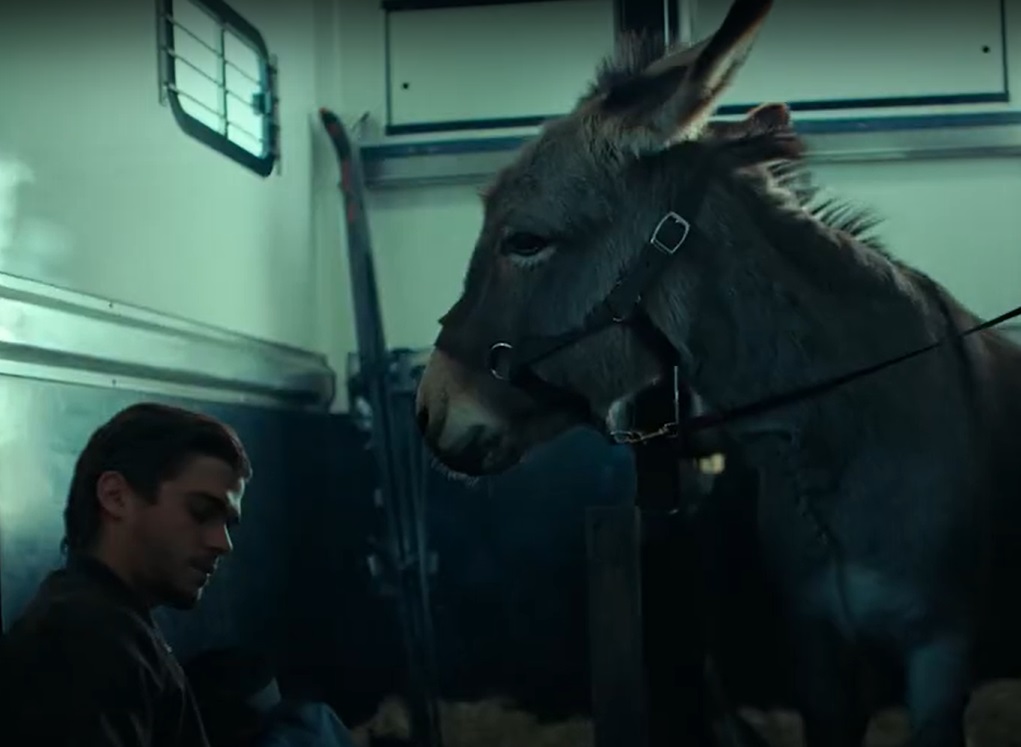 Screenshot from the film EO (2022)