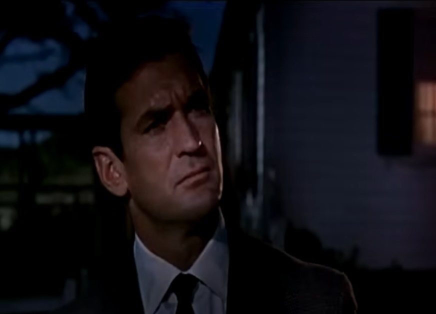 Screenshot from the film The Birds (1963)