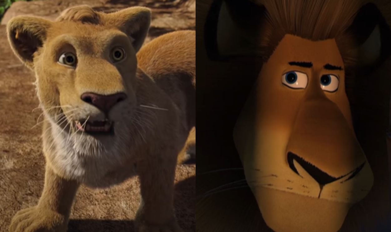 The Wild & Madagascar (Cont.)