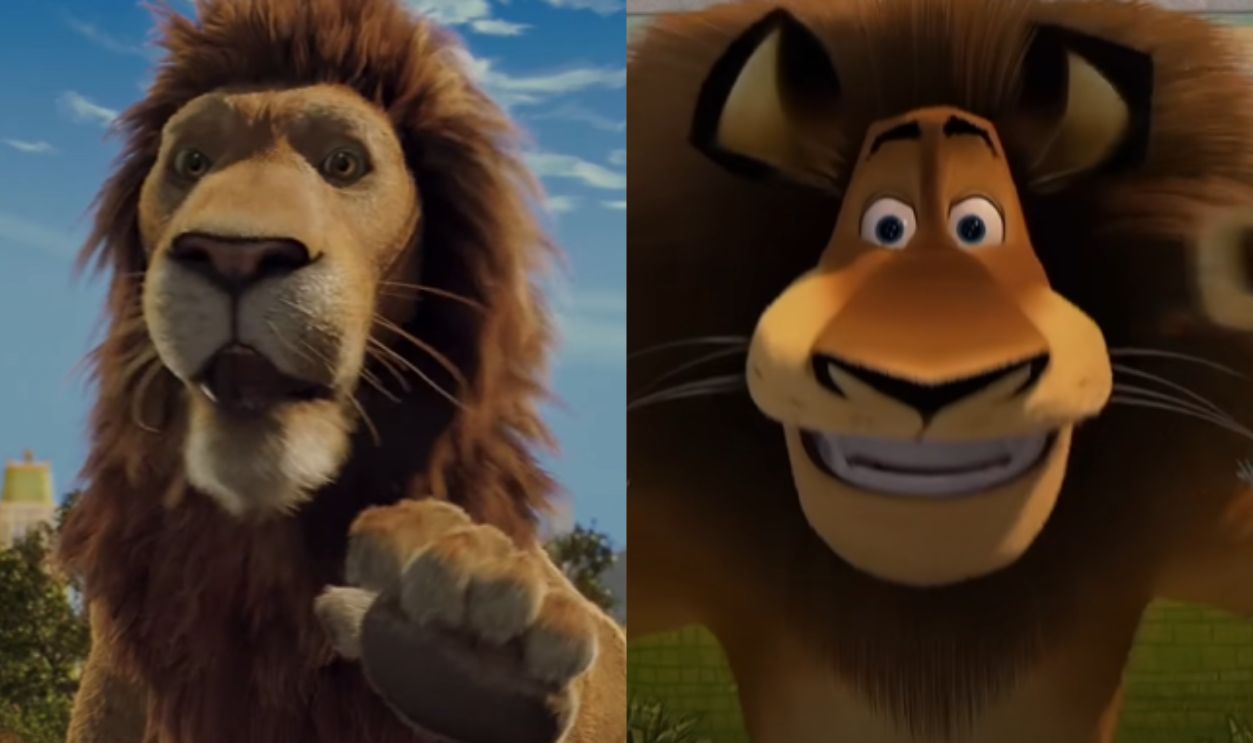 The Wild & Madagascar