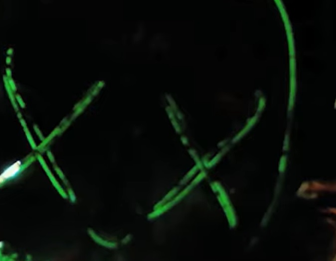 Screenshot from the film The Purge: Election Year (2016)