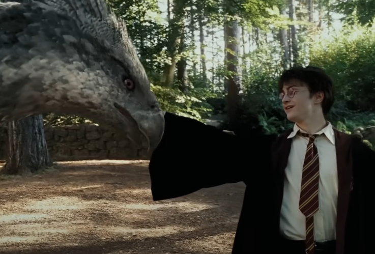 Screenshot of the movie Harry Potter and the Prisoner of Azkaban