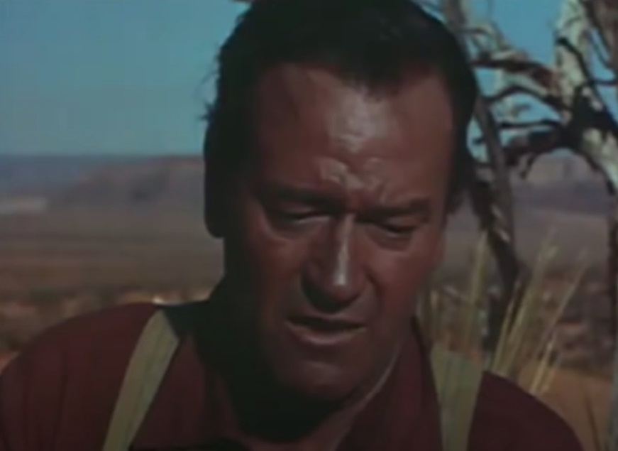 Screenshot from the film The Searchers (1968)