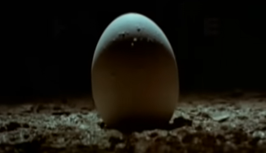 Screenshot of the movie Alien