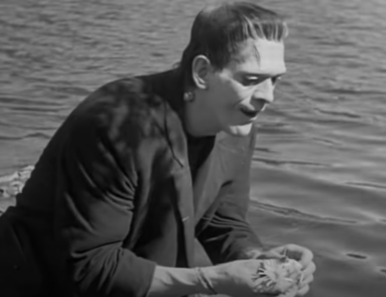 Screenshot of the movie Frankenstein