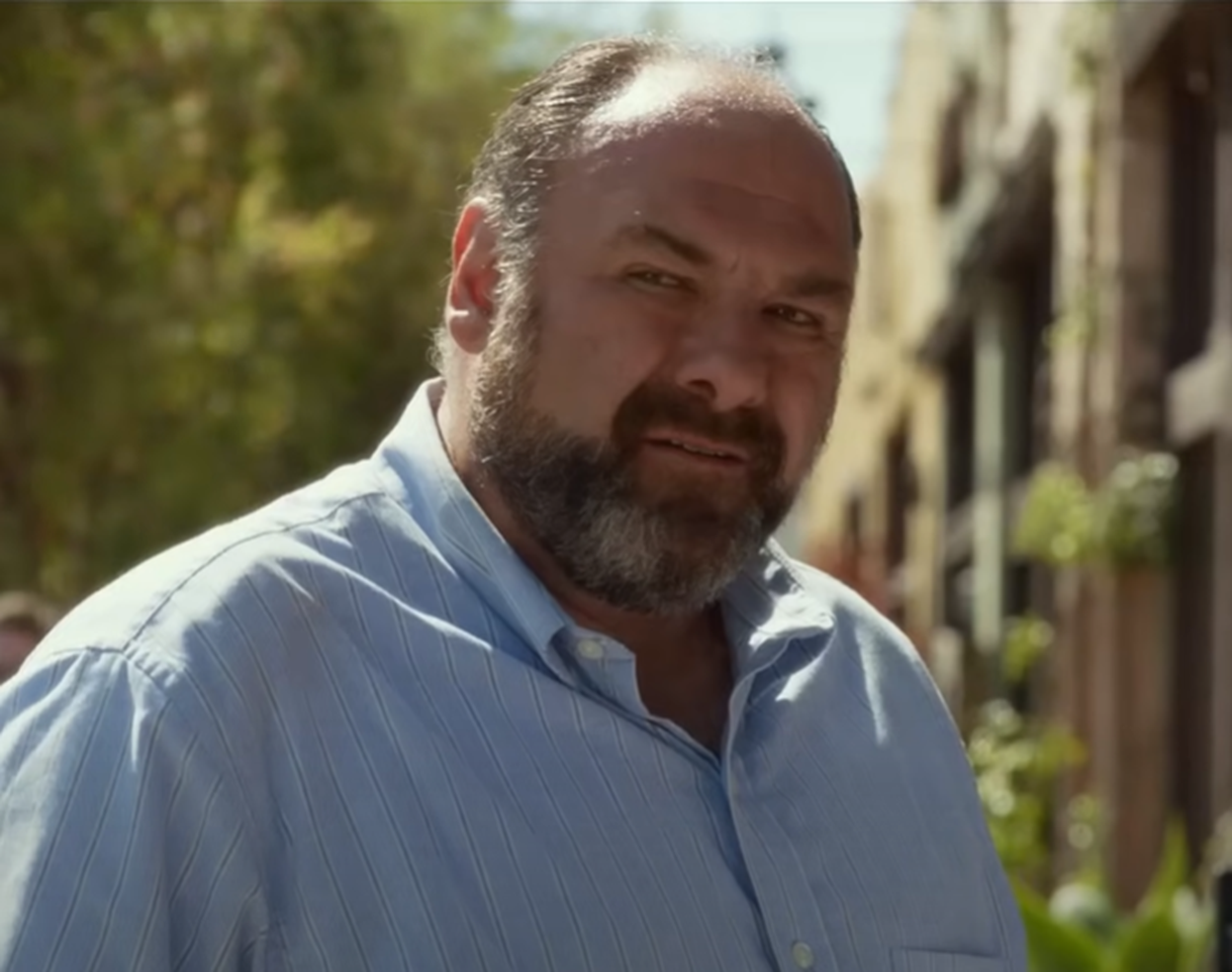 Screenshot of James Gandolfini from the movie - Enough Said (2013)
