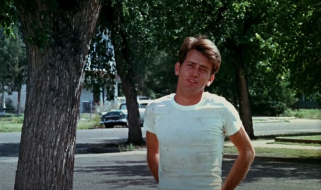 Martin Sheen as Kit in Badlands (1973)