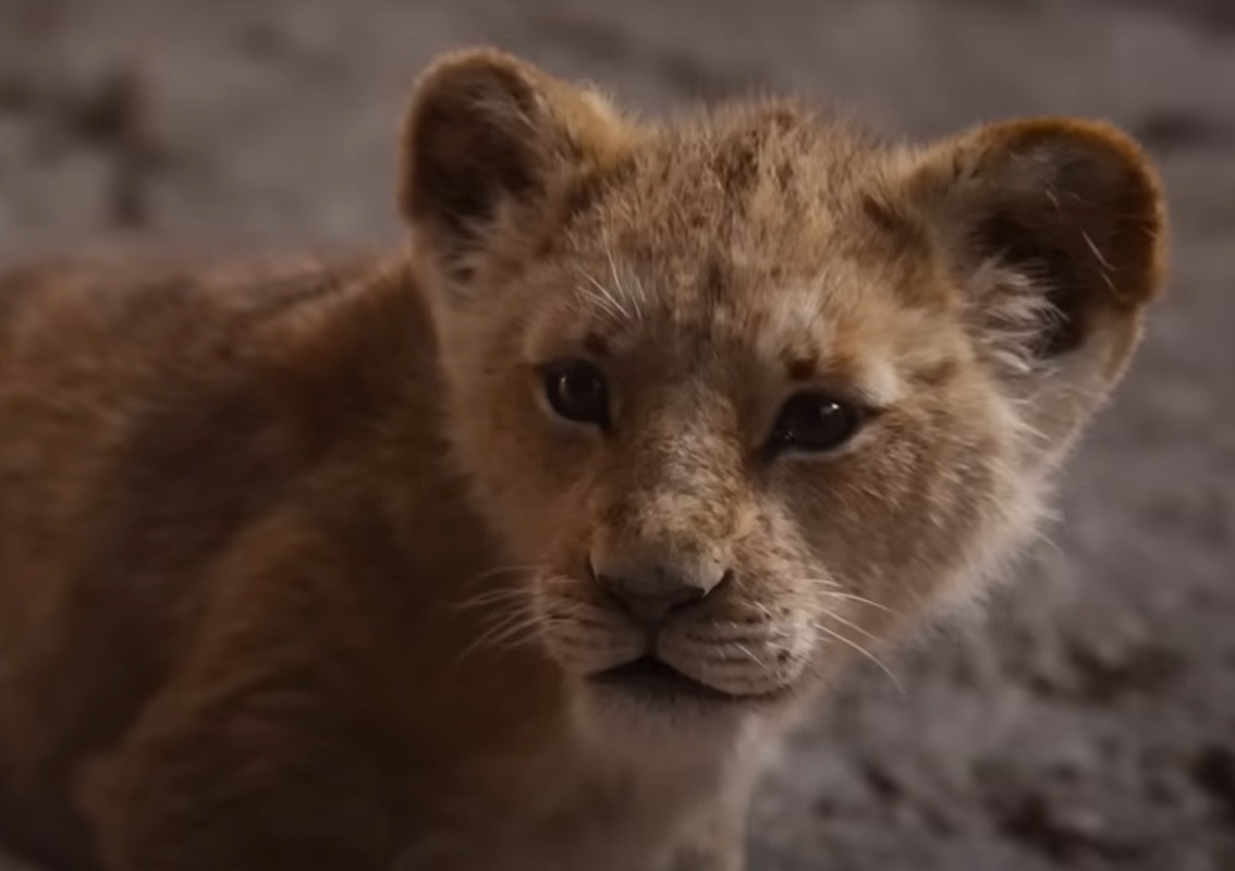 Screenshot from the movie The Lion King (2019)