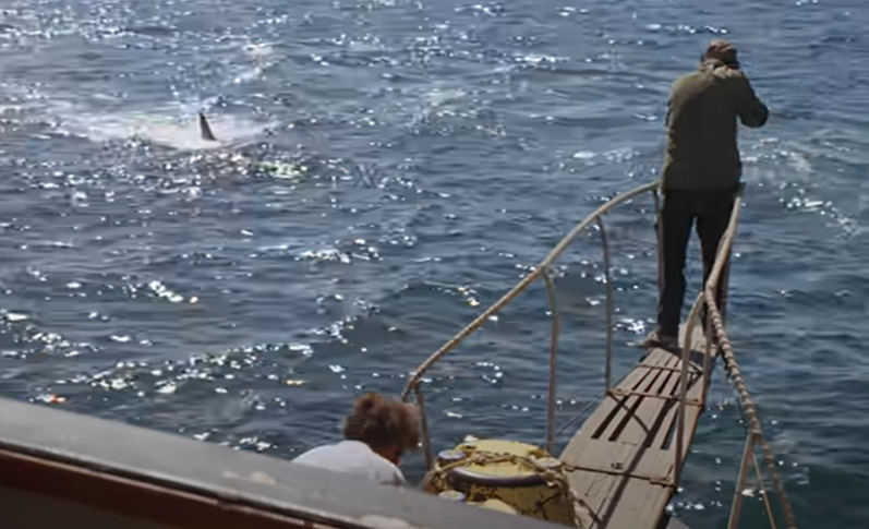 Screenshot of the movie Jaws