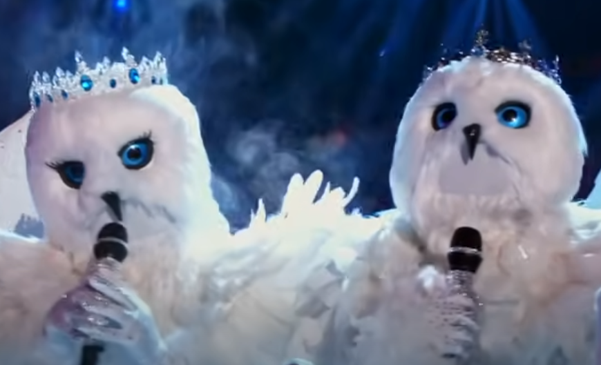 Screenshot of the TV Show The Masked Singer
