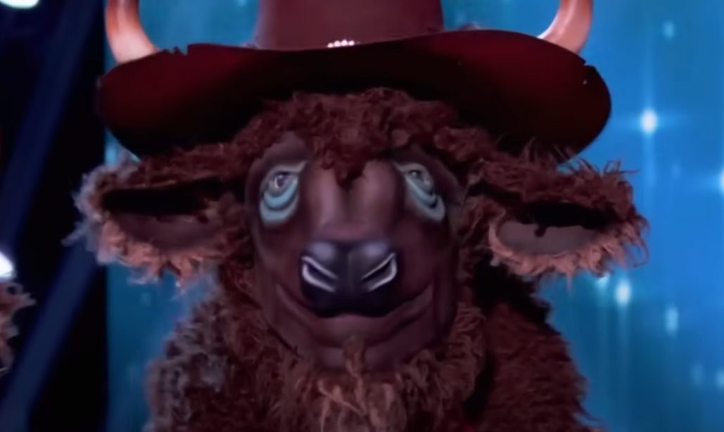 Screenshot of the TV Show The Masked Singer