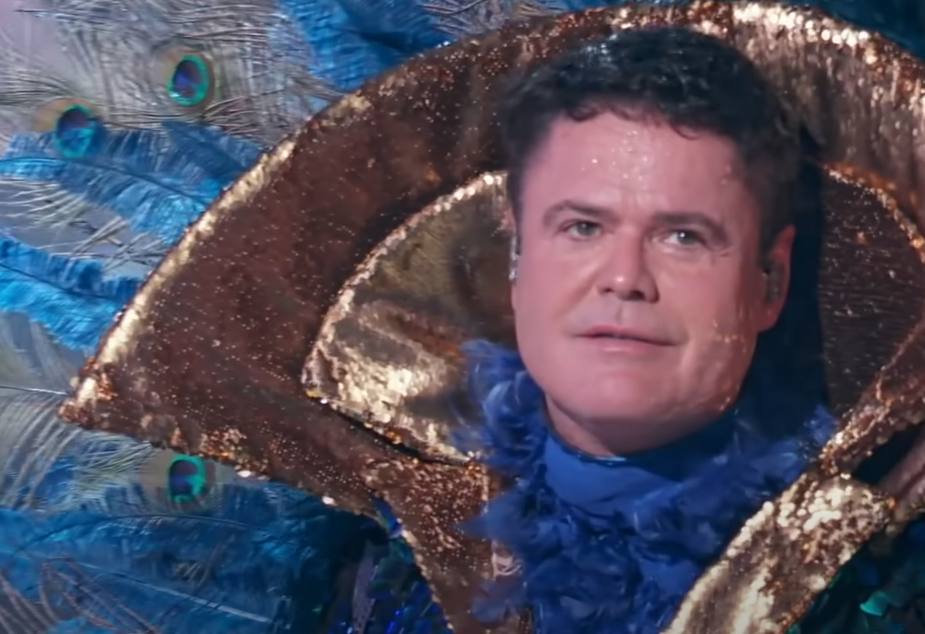 Screenshot of the TV Show The Masked Singer