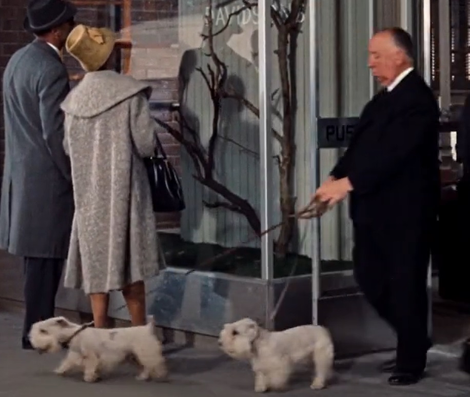 Screenshot from the film The Birds (1963)