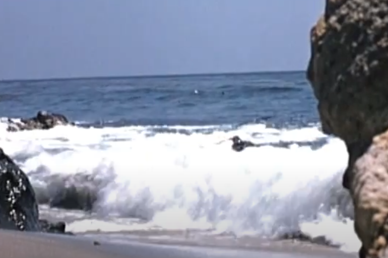 Screenshot of the movie Secrets of Life