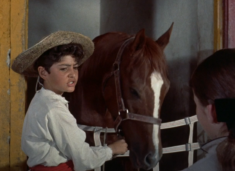 Screenshot of the movie The Littlest Outlaw
