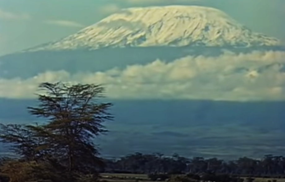 Screenshot of the movie The African Lion