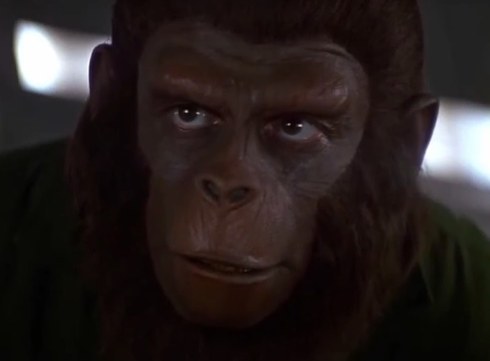 Screenshot from the film Conquest of the Planet of the Apes (1972)