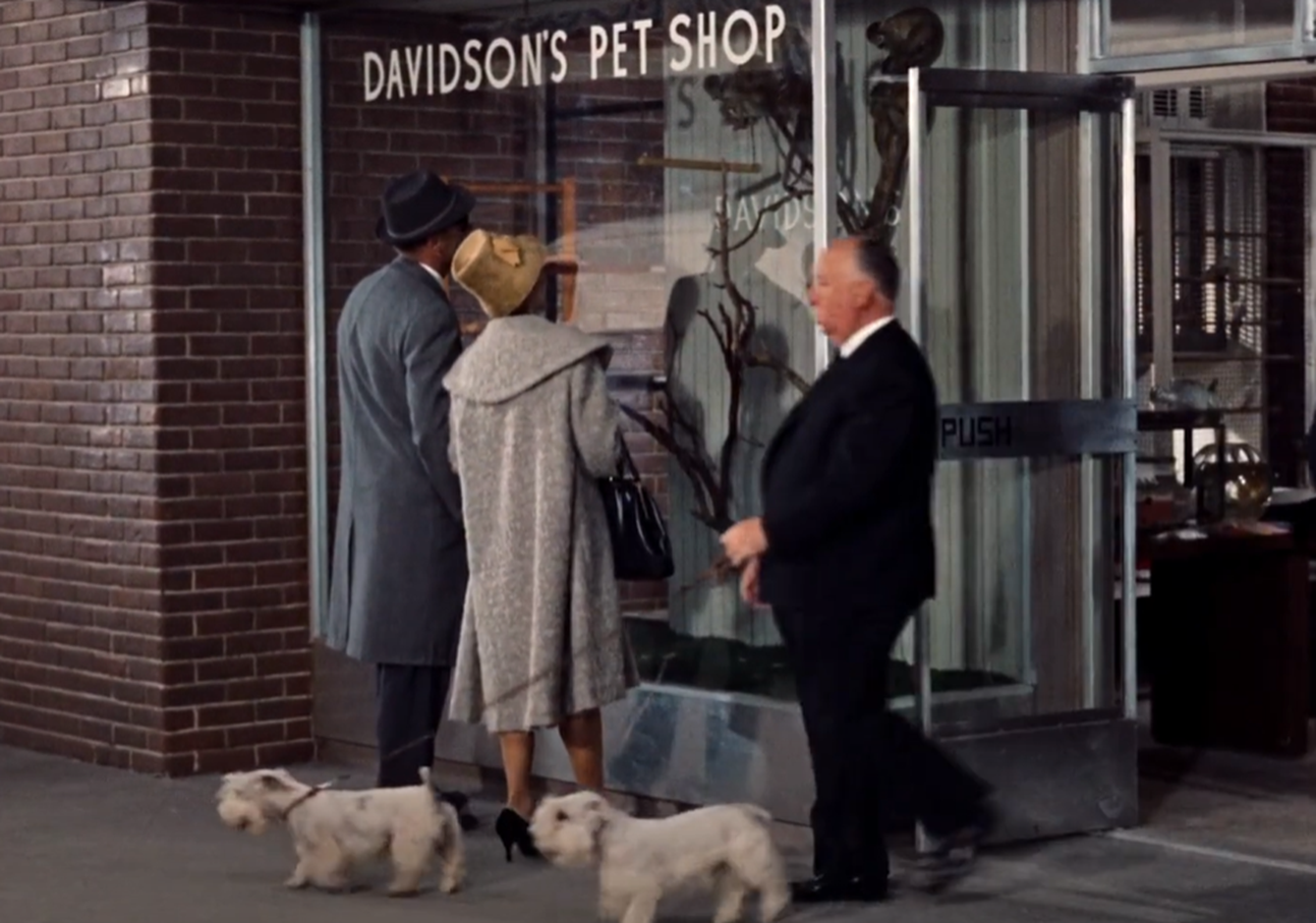 Screenshot of Alfred Hitchcock from - The Birds (1963)