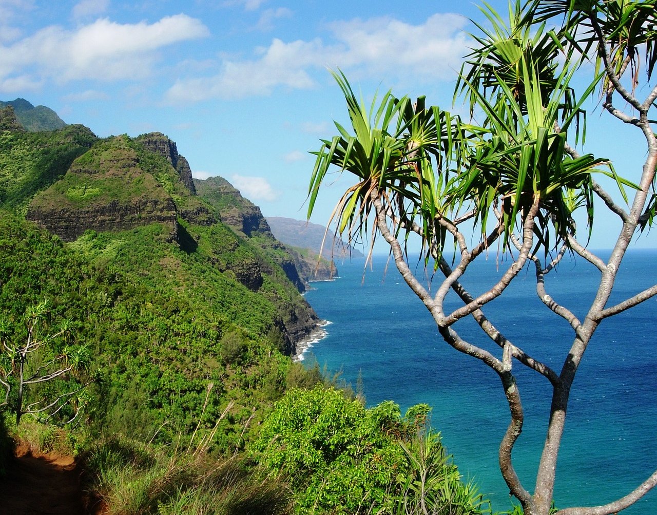 Photo from Tropical Hawaii