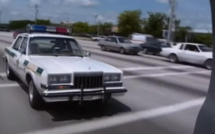 A screenshot of the TV Show Cops